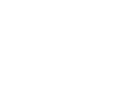 Western Snow Plows